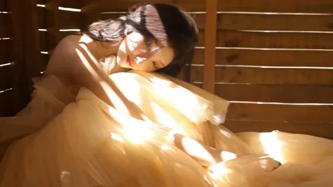 清远高岗服务区小狗走失