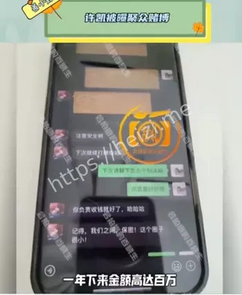 曝许凯赌博金额一年高达百万