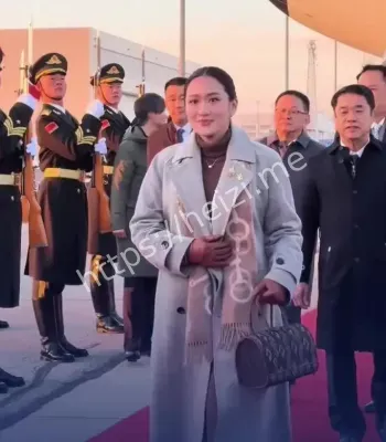 佩通坦探视他信