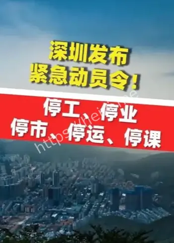 公共交通全线停运