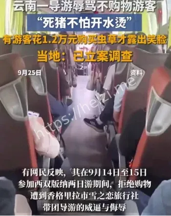 云南一导游逼游客购物被立案调查
