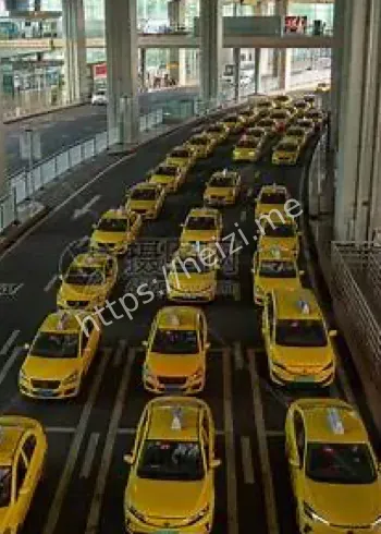 重庆女子跨省打车