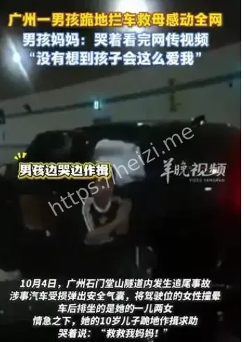 南京男孩跪地救母视频